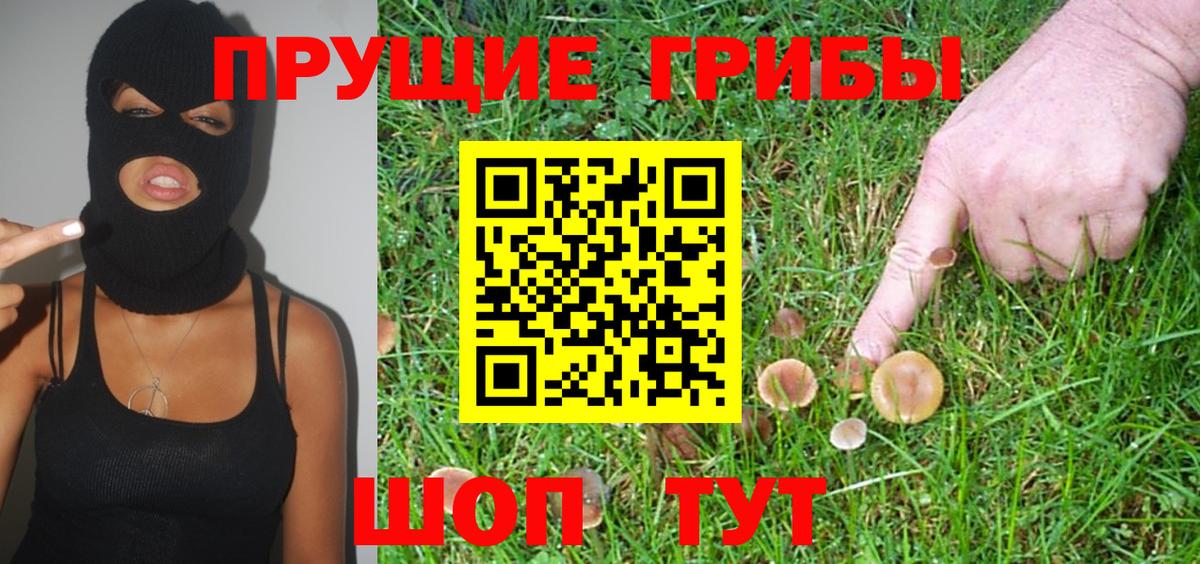 Псилоцибиновые грибы Psilocybe  Вход с VPN  купить закладку  Псилоцибиновые грибы Psilocybe  Изобильный 