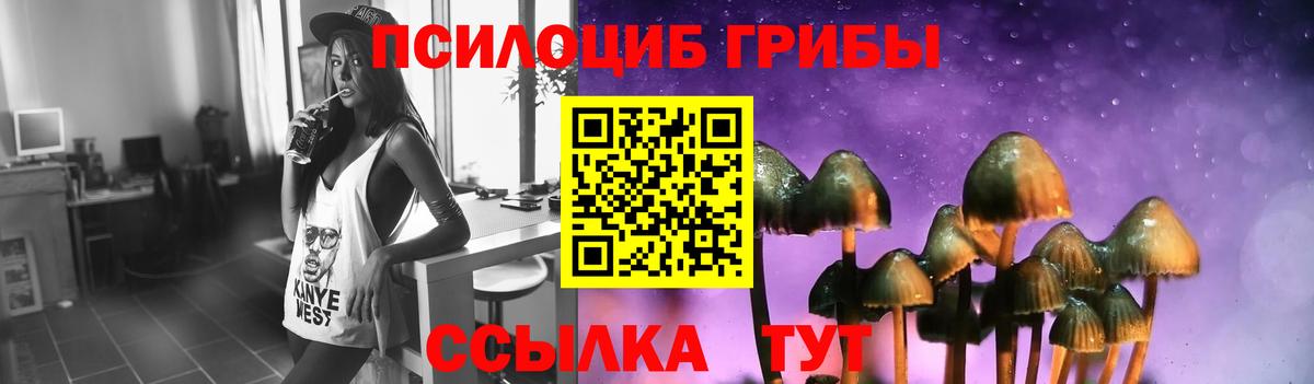 Псилоцибиновые грибы Psilocybine cubensis Изобильный